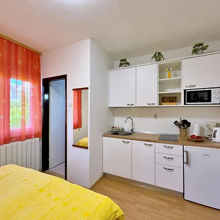 Andelka G Pensjonat 3*